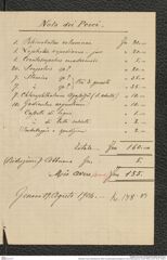 Nachlass Franz Steindachner, Brief von Brancaleone Borgioli an Franz Steindachner (19.08.1904), Inv.Nr. 45.07, Seite 3